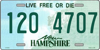 NH license plate 1204707