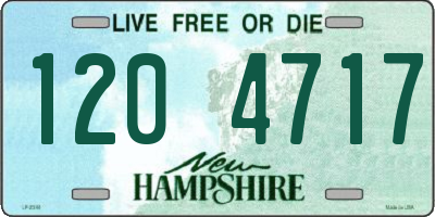 NH license plate 1204717