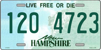 NH license plate 1204723