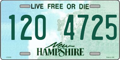 NH license plate 1204725