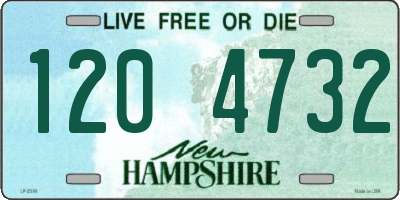NH license plate 1204732