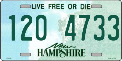 NH license plate 1204733