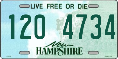 NH license plate 1204734