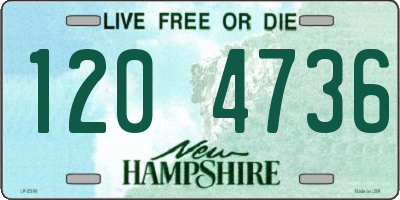 NH license plate 1204736