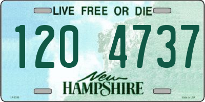 NH license plate 1204737