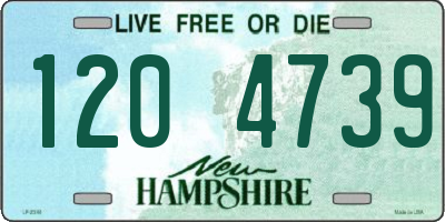 NH license plate 1204739