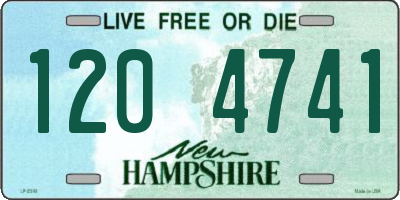 NH license plate 1204741