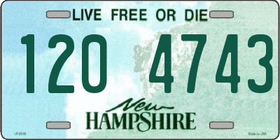 NH license plate 1204743