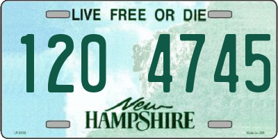 NH license plate 1204745