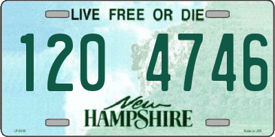 NH license plate 1204746