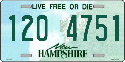 NH license plate 1204751