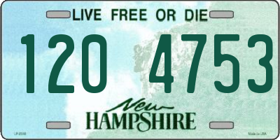 NH license plate 1204753