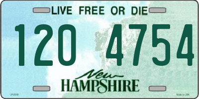 NH license plate 1204754