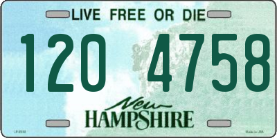 NH license plate 1204758