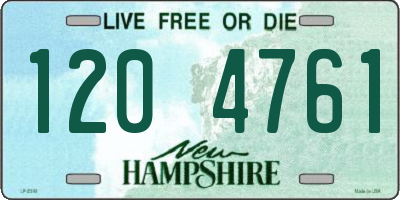 NH license plate 1204761