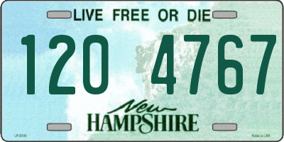 NH license plate 1204767