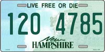 NH license plate 1204785