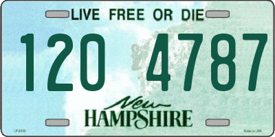 NH license plate 1204787