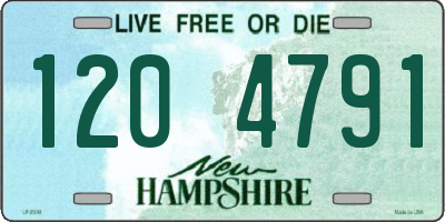 NH license plate 1204791