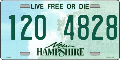 NH license plate 1204828