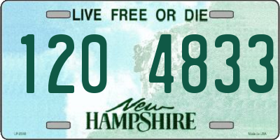 NH license plate 1204833