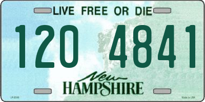 NH license plate 1204841