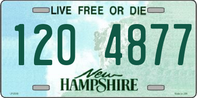 NH license plate 1204877