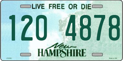 NH license plate 1204878