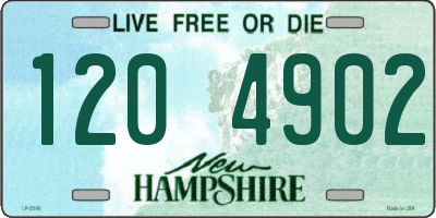 NH license plate 1204902