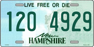 NH license plate 1204929