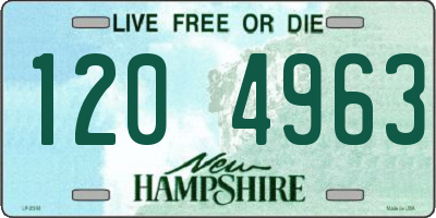 NH license plate 1204963