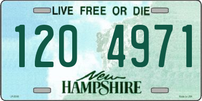 NH license plate 1204971