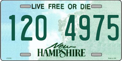 NH license plate 1204975