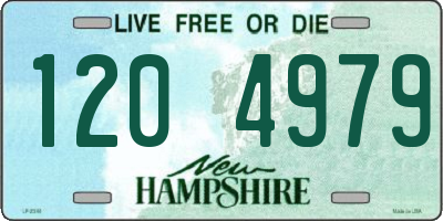 NH license plate 1204979