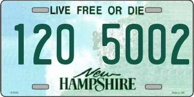 NH license plate 1205002