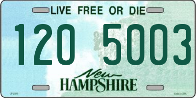 NH license plate 1205003