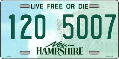 NH license plate 1205007