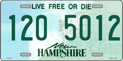 NH license plate 1205012