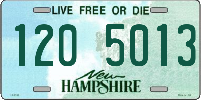 NH license plate 1205013