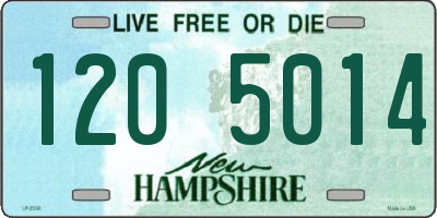 NH license plate 1205014