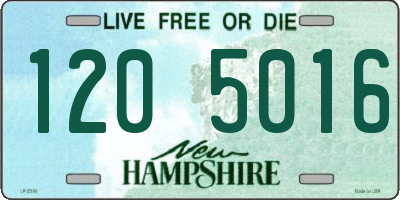 NH license plate 1205016