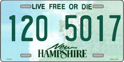 NH license plate 1205017