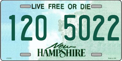 NH license plate 1205022