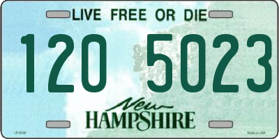 NH license plate 1205023