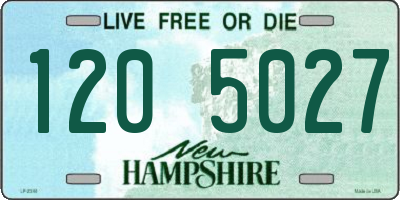 NH license plate 1205027