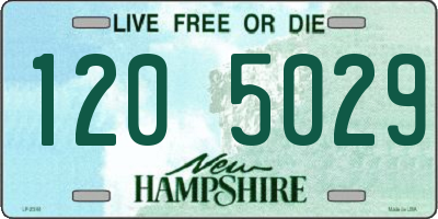NH license plate 1205029