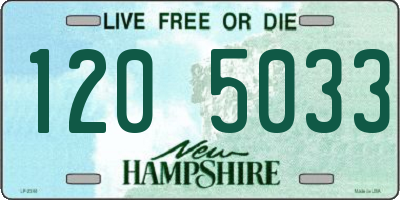 NH license plate 1205033