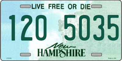 NH license plate 1205035