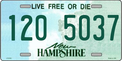 NH license plate 1205037