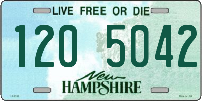 NH license plate 1205042